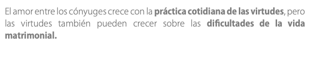 El amor entre los cónyuges crece con la práctica cotidiana de las virtudes, pero las virtudes también pueden crecer sobre las dificultades de la vida matrimonial.