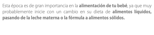 Esta época es de gran importancia en la alimentación de tu bebé, ya que muy probablemente inicie con un cambio en su dieta de alimentos líquidos, pasando de la leche materna o la fórmula a alimentos sólidos.