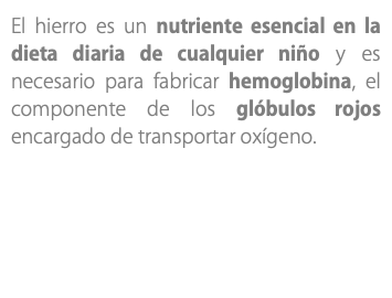 El hierro es un nutriente esencial en la dieta diaria de cualquier niño y es necesario para fabricar hemoglobina, el componente de los glóbulos rojos encargado de transportar oxígeno.