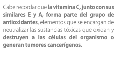 Cabe recordar que la vitamina C, junto con sus similares E y A, forma parte del grupo de antioxidantes, elementos que se encargan de neutralizar las sustancias tóxicas que oxidan y destruyen a las células del organismo o generan tumores cancerígenos. 