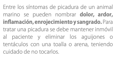 Entre los síntomas de picadura de un animal marino se pueden nombrar dolor, ardor, inflamación, enrojecimiento y sangrado. Para tratar una picadura se debe mantener inmóvil al paciente y eliminar los aguijones o tentáculos con una toalla o arena, teniendo cuidado de no tocarlos.